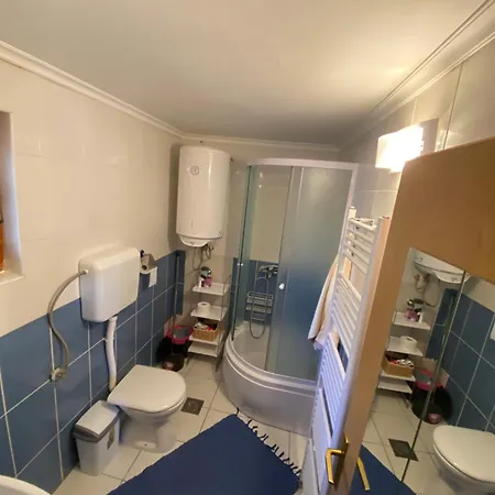 Apartament Kuca Mirkovic *